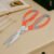 Multi-Function Kitchen Scissors – Stainless Steel Shears | Own Hydrate