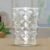 Pyramid Glass – 300 ML Unbreakable Plastic Tumbler