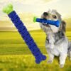 Dog Toothbrush – Dental Chew Stick for Clean Teeth | Boardoria