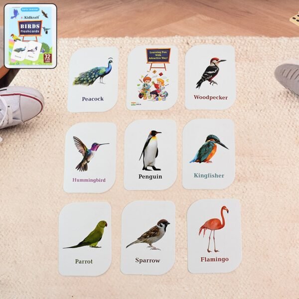Bird Flashcards – 32 Realistic Educational Cards for Kids