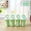 Popsicle Maker Set – Create Homemade Frozen Treats Effortlessly