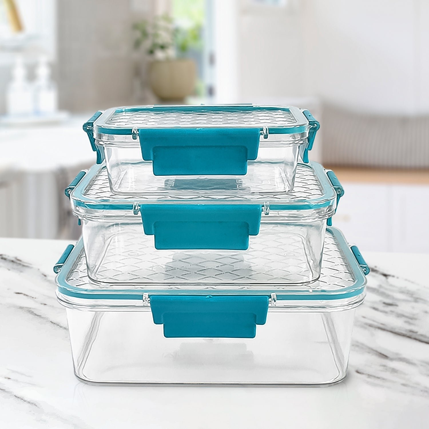 Airtight Plastic Lunch Boxes Set – Leakproof & Microwave Safe