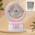 01_d9a7f205-e6d4-4baf-86ad-687646f811d2 Portable Humidifying Fan – LED Light & USB | Airvanta