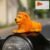 Lion Car Dashboard Toy – Majestic Orange-Gold Ornament with Adhesive Base