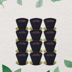 Gugal Sambrani Cups – 12 Pc Havan Set for Pooja | Indo Glow