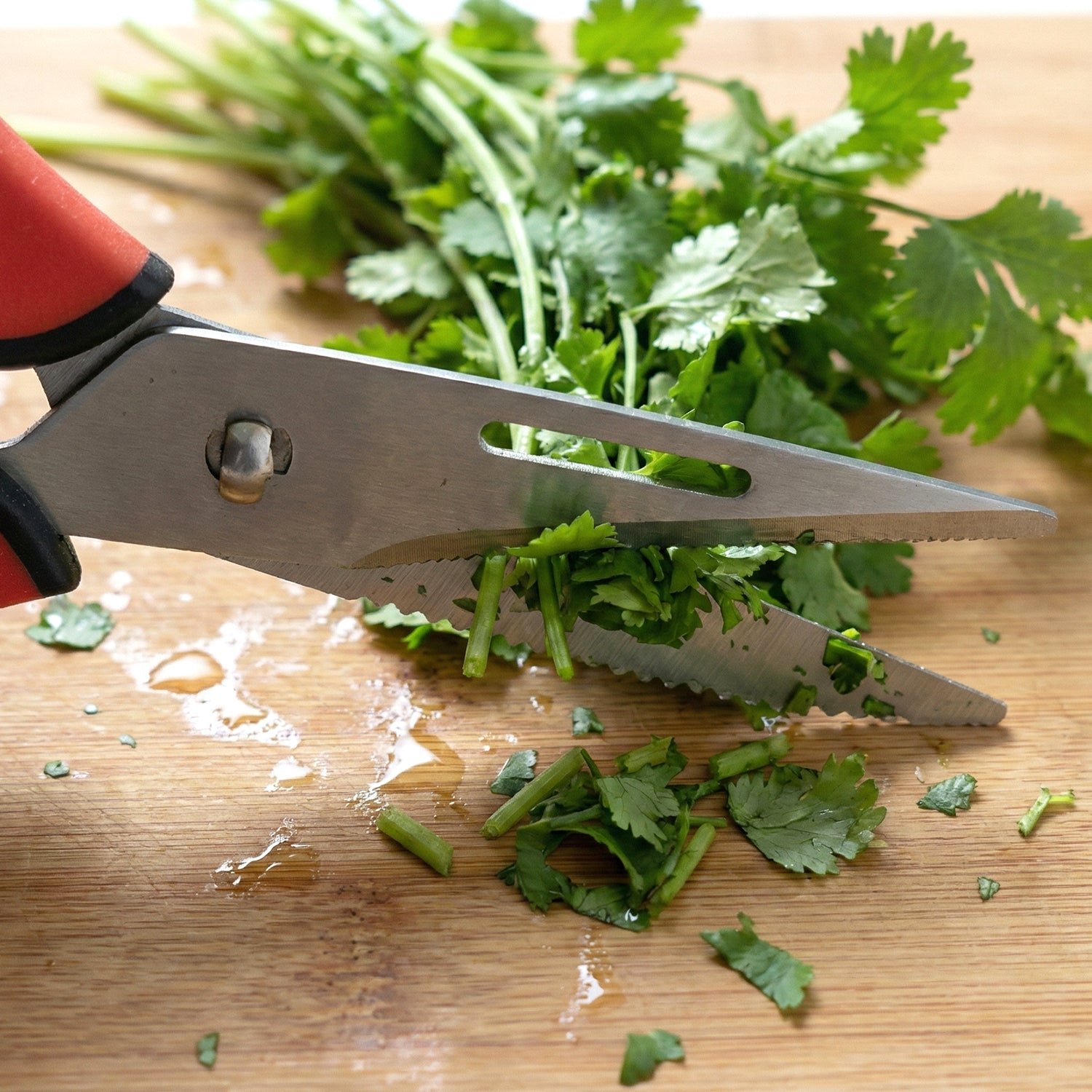 Kitchen Scissors – Heavy Duty Multipurpose with Sharp Blades