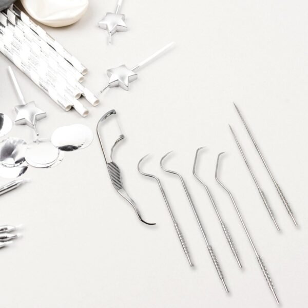 Stainless Steel Toothpick Set – 7-in-1 Portable Dental Kit | AuriGlam