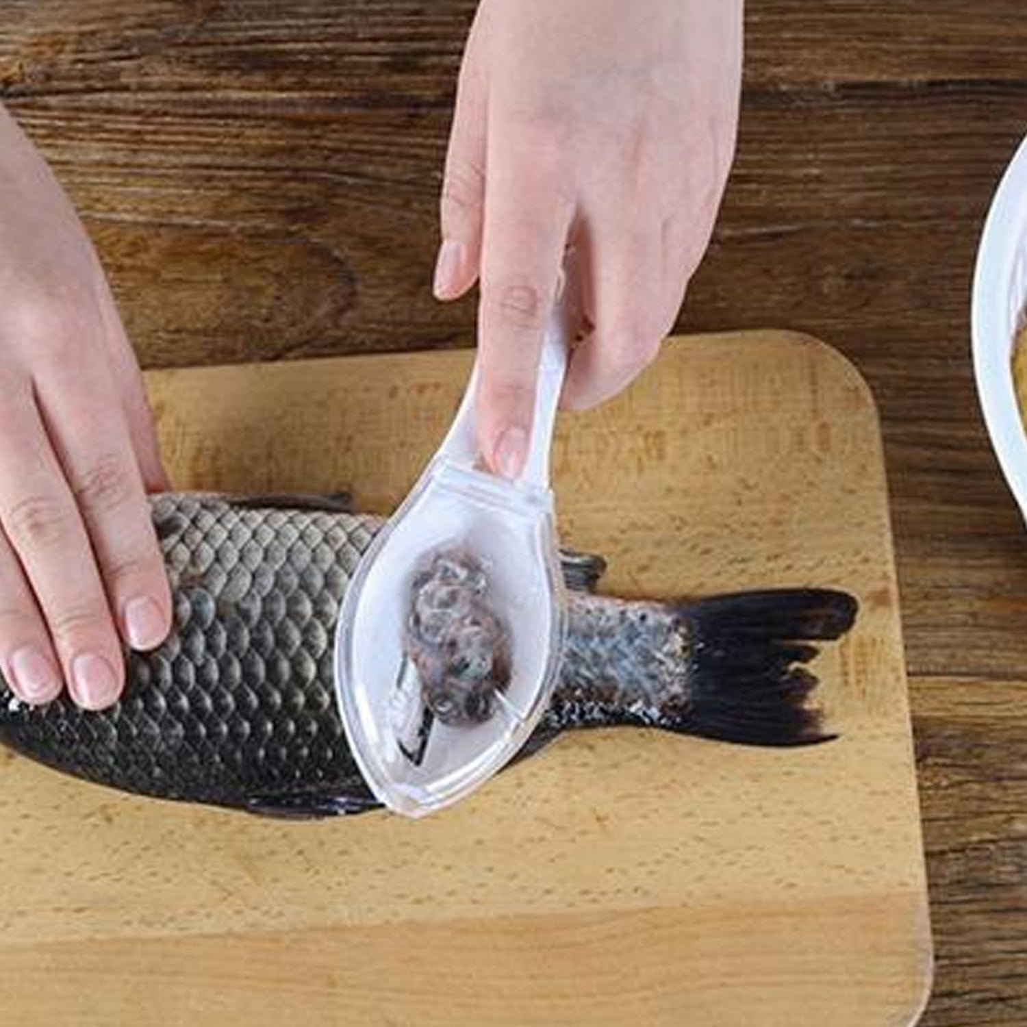 Fish Scale Scraper – Mess-Free Descaling Tool | Quickslice