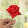 Red Rose Hair Clip – 12 Pc Bridal Flower Pins for Women | Calm & Curl