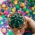 Decorative Pebbles – Multicolor Stones for Garden & Vase | Indo Glow