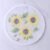 Sunflower Mesh Fan Cover – Dust Protection & Stylish Fit