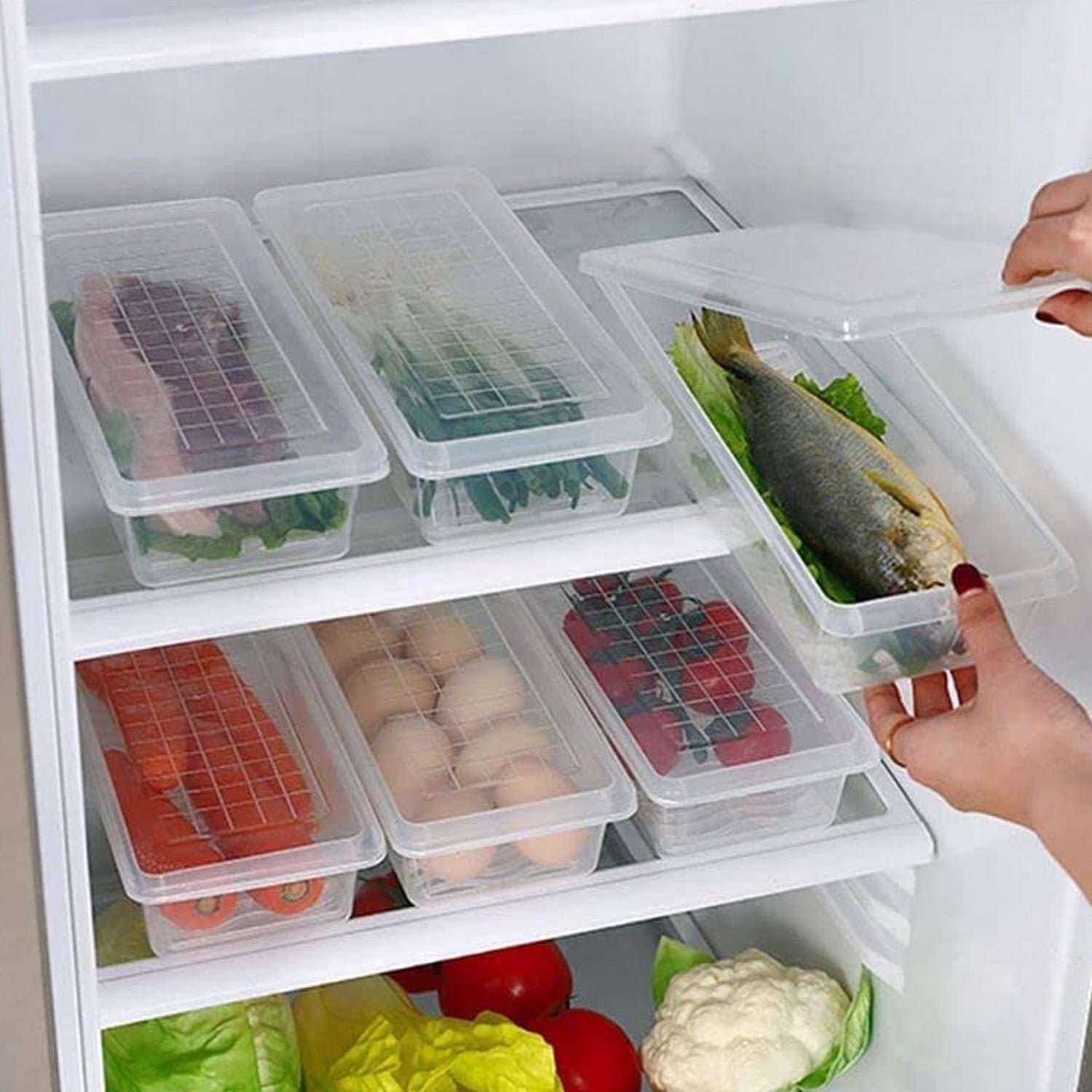 Freezer Storage Containers – 6-Pack 1500ML with Drain Plate | Organivo
