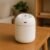 Mini USB Humidifier – Portable Diffuser & Cool Mist 250ML | Airvanta