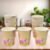 Disposable Paper Cups – Mixed Design 24 Pcs | Papezo