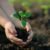 Organic Vermicompost – 1 KG Black Soil Manure for Plants | Grow Vanta