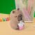 Cartoon Pencil Sharpener with Built-In Eraser – Fun & Practical
