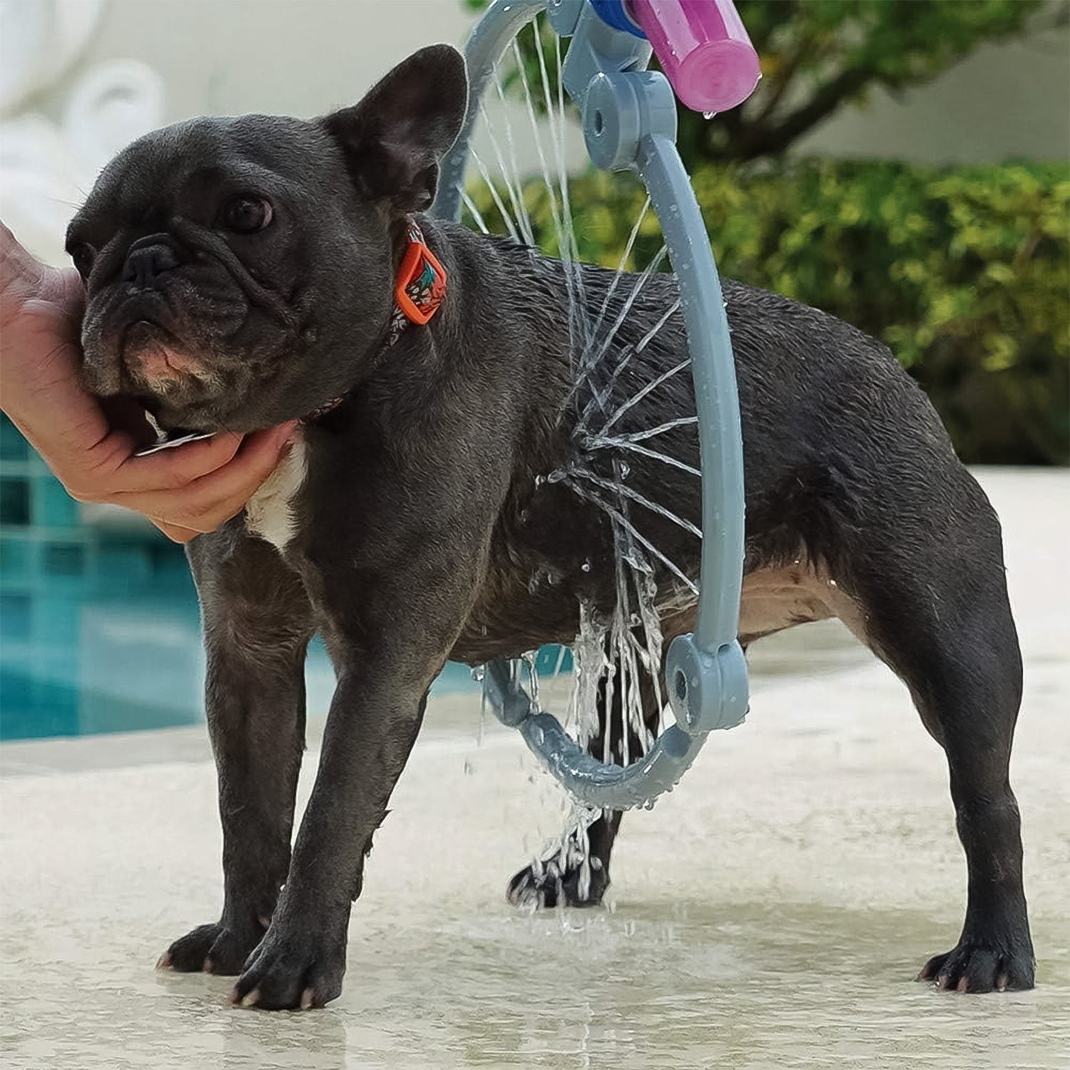 Pet Shower Sprayer – 360° Cat Dog Grooming Tool | PureBeard