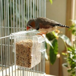 Mini Rack-Mount Storage Box – Space-Saving Transparent Organizer
