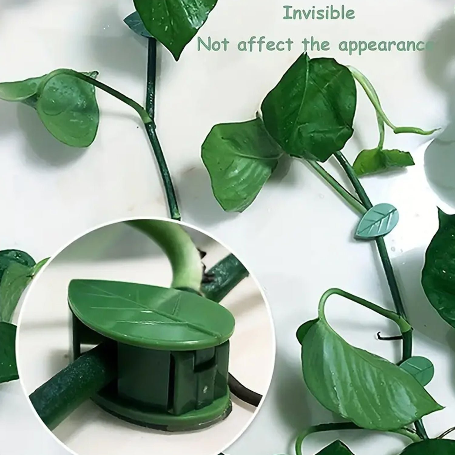 Plant Climbing Clips – Self-Adhesive Leaf Design | Indo Glow