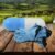 5-Fold Umbrella – Compact & Windproof with Capsule Case | DrizzlePro