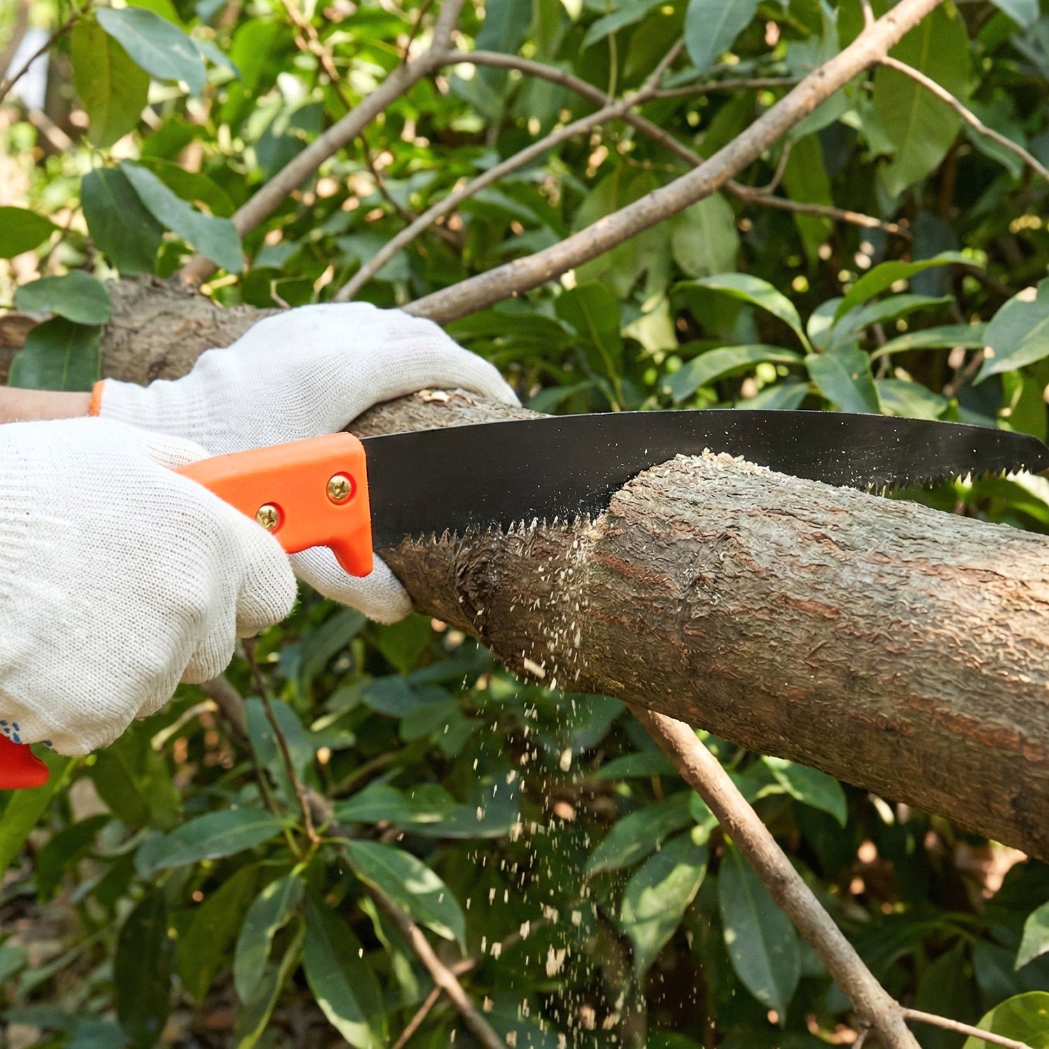 Garden Pruning Tool Combo – Heavy Duty Saw & Sharp Shears