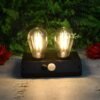 Solar LED Lamp – Double Bulb Outdoor Garden Light | Indo Glow