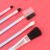 Makeup Brushes Kit – 5-Piece Soft Synthetic Set | BeautyBare