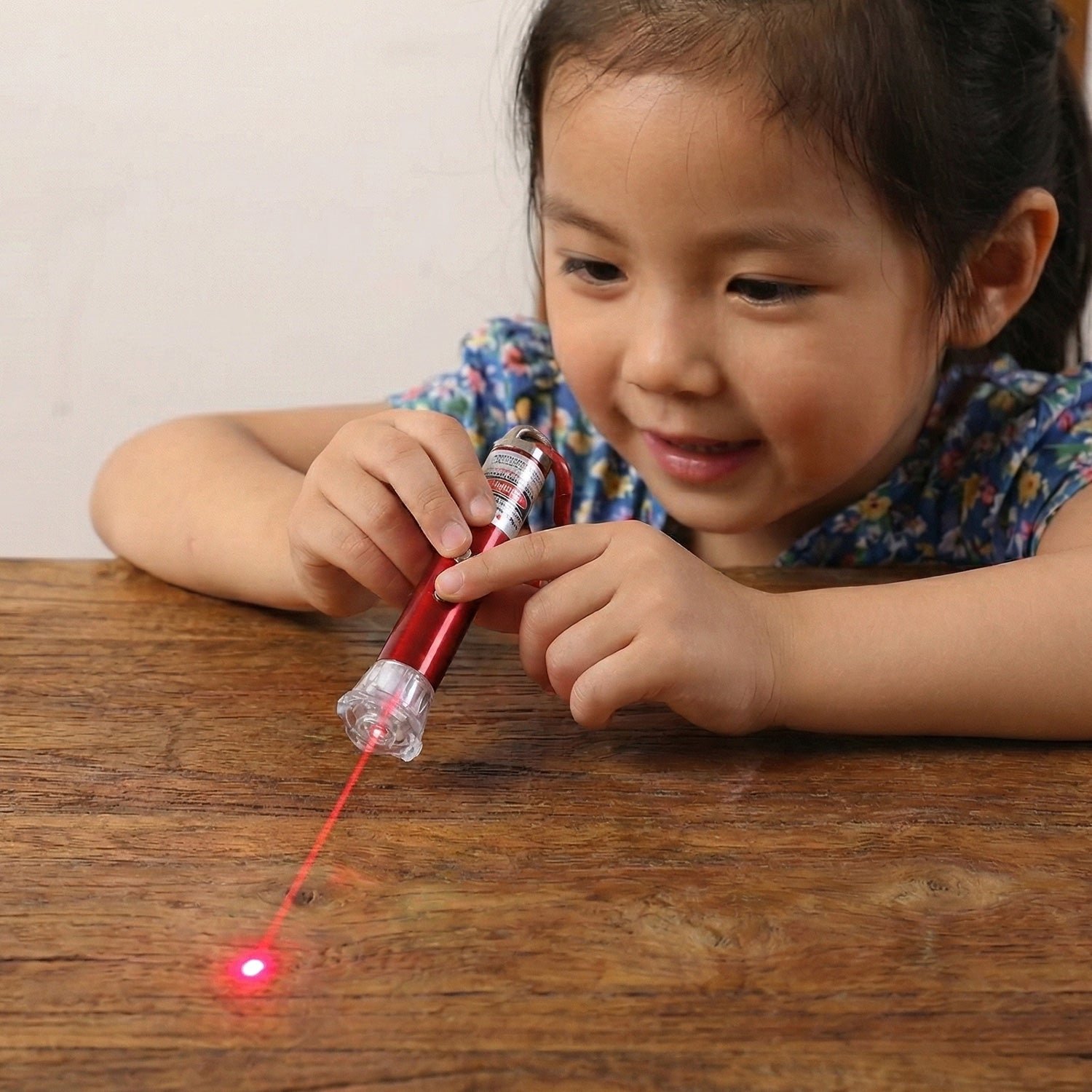 Laser Pointer – 4-in-1 LED Flashlight & Keychain | Puzzle Vista