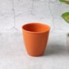 Plastic Small Drinking Glass – Lightweight Durable Tumbler