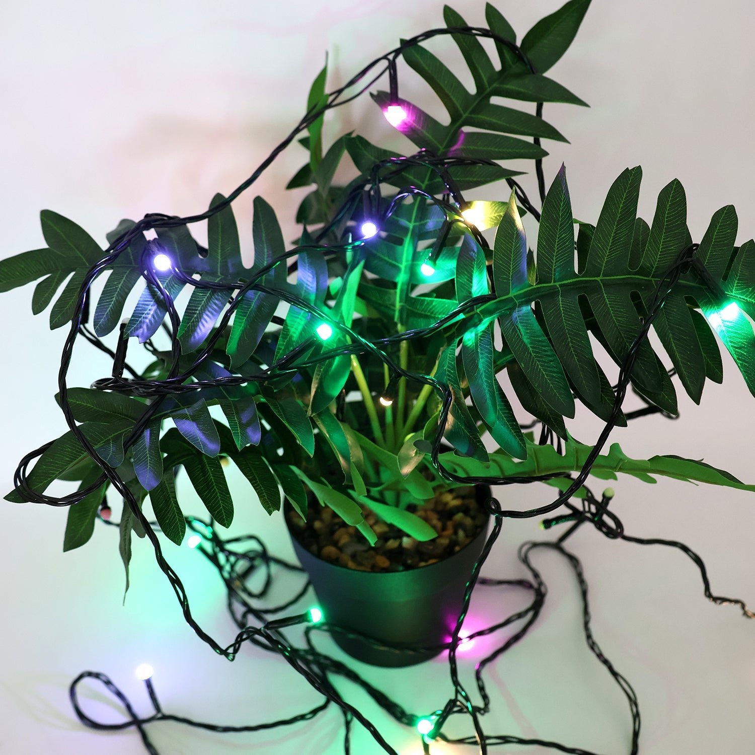 LED Decorative String Lights 9 Meter – Multicolor Festival Glow