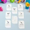 Bird Flashcards – 32 Realistic Educational Cards for Kids