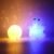 Animal LED Night Lamp – Cute Multi-Shape Set (6 Pc) | Indo Glow