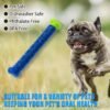 Dog Toothbrush – Dental Chew Stick for Clean Teeth | Boardoria