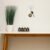 Plastic Suction Cup Hook – Heavy Duty Clear Hold (1 Pc)