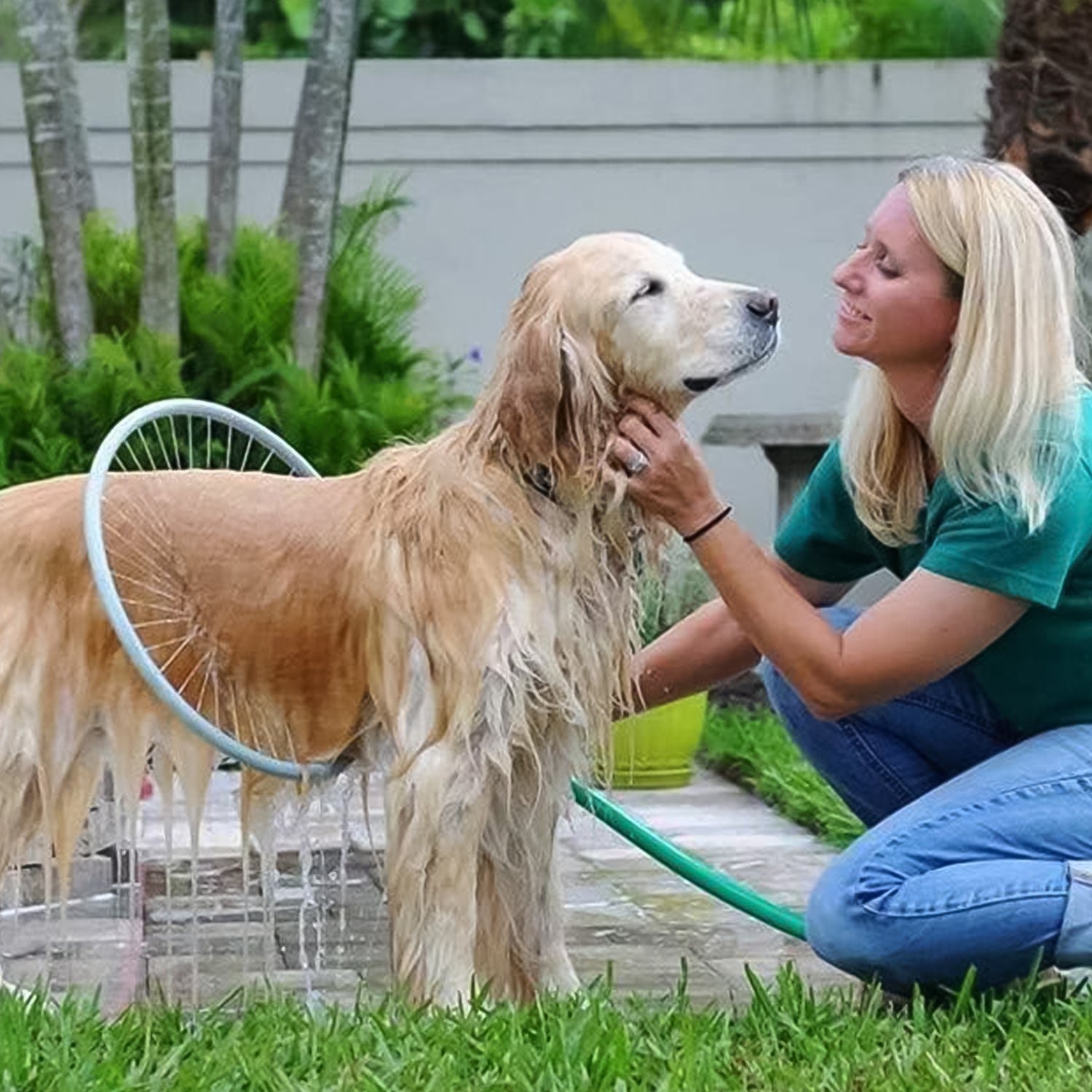 Pet Shower Sprayer – 360° Cat Dog Grooming Tool | PureBeard