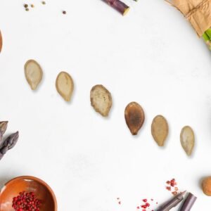 Vegetable Seeds Combo – 15 Varieties for Home Gardening