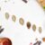Vegetable Seeds Combo – 15 Varieties for Home Gardening