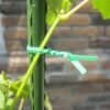 Reusable Green Twist Tie Roll – Flexible Multipurpose Wire with Cutter