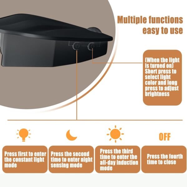 03_a3ef5675-39ee-4035-a99a-3d291eecfeee Motion Sensor Night Light – Shell-Shaped Soft Glow LED