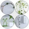 Plant Climbing Clips – Self-Adhesive Wall Support | Grow Vanta