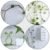 Plant Climbing Clips – Self-Adhesive Wall Support | Grow Vanta