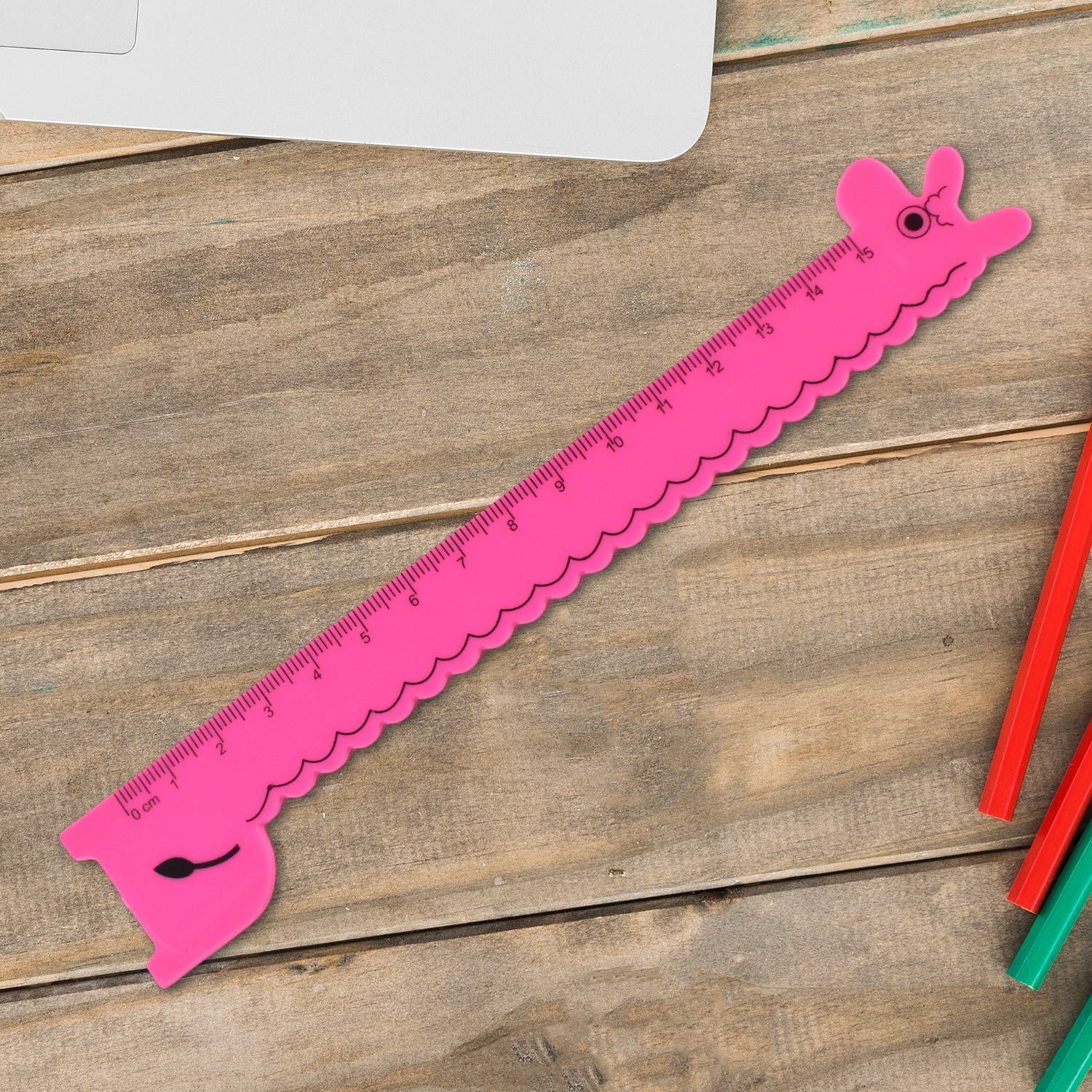 Giraffe Ruler Set – Durable 4 Pc Plastic Measuring Tools