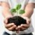 Organic Vermicompost – 1 KG Black Soil Manure for Plants | Grow Vanta