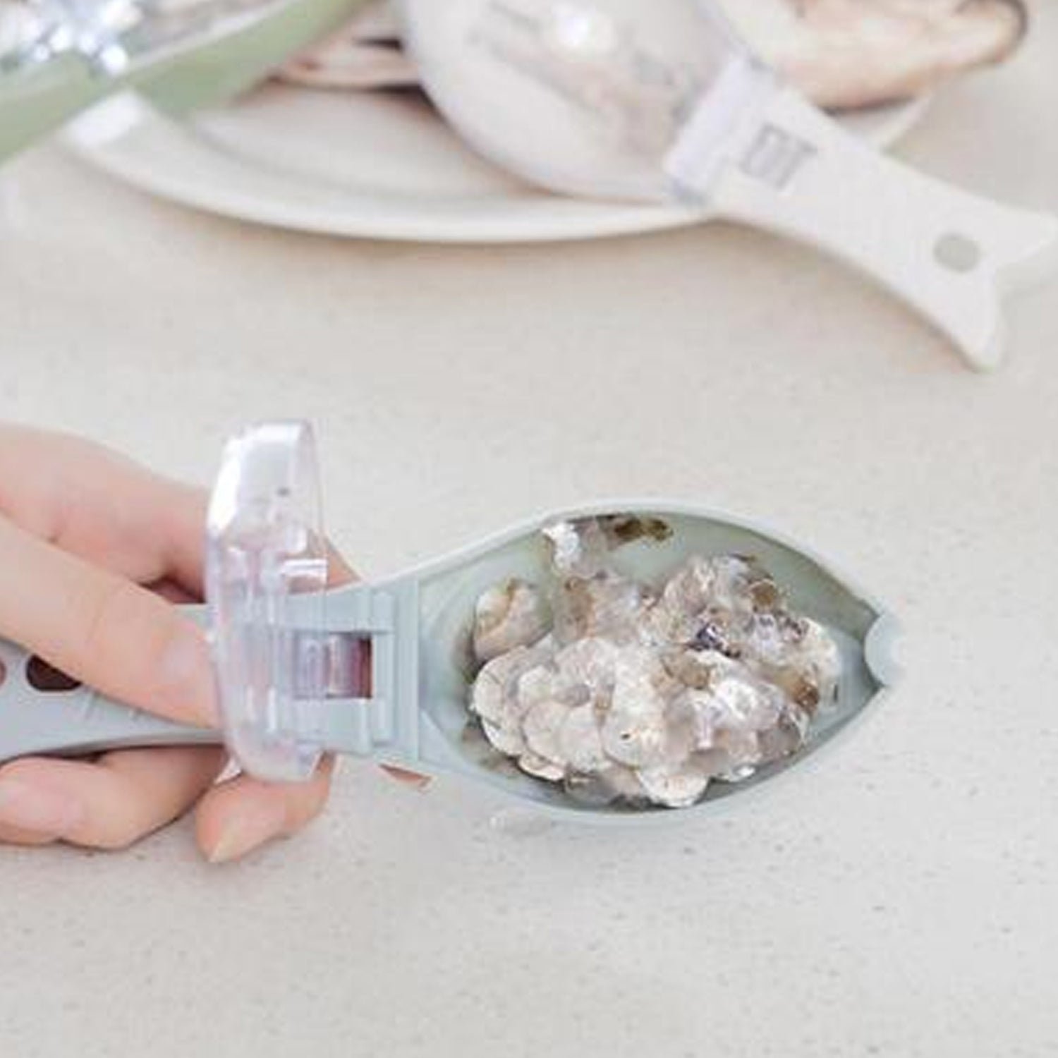 Fish Scale Scraper – Mess-Free Descaling Tool | Quickslice
