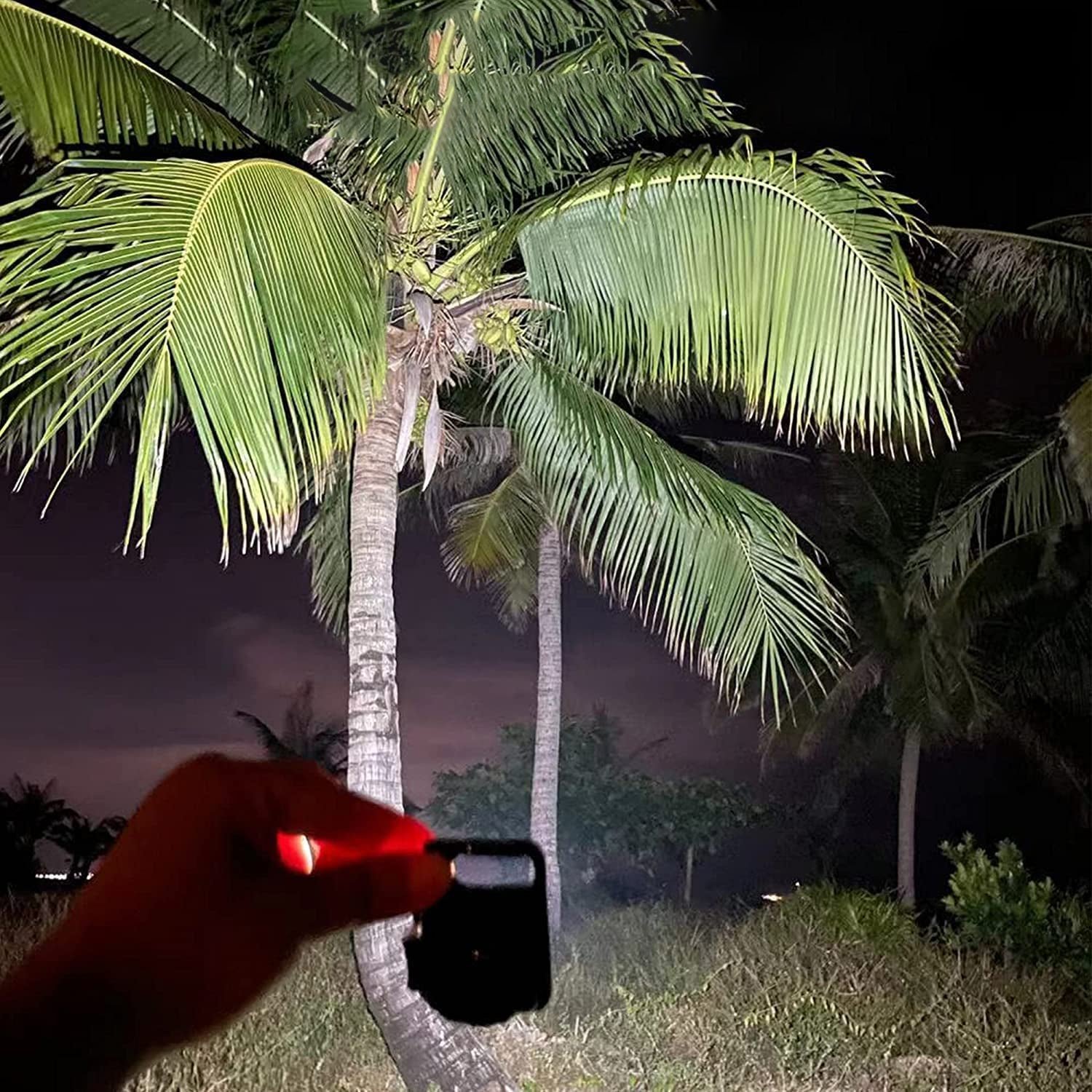 Keychain Flashlight – LED, Folding Bracket & Bottle Opener |