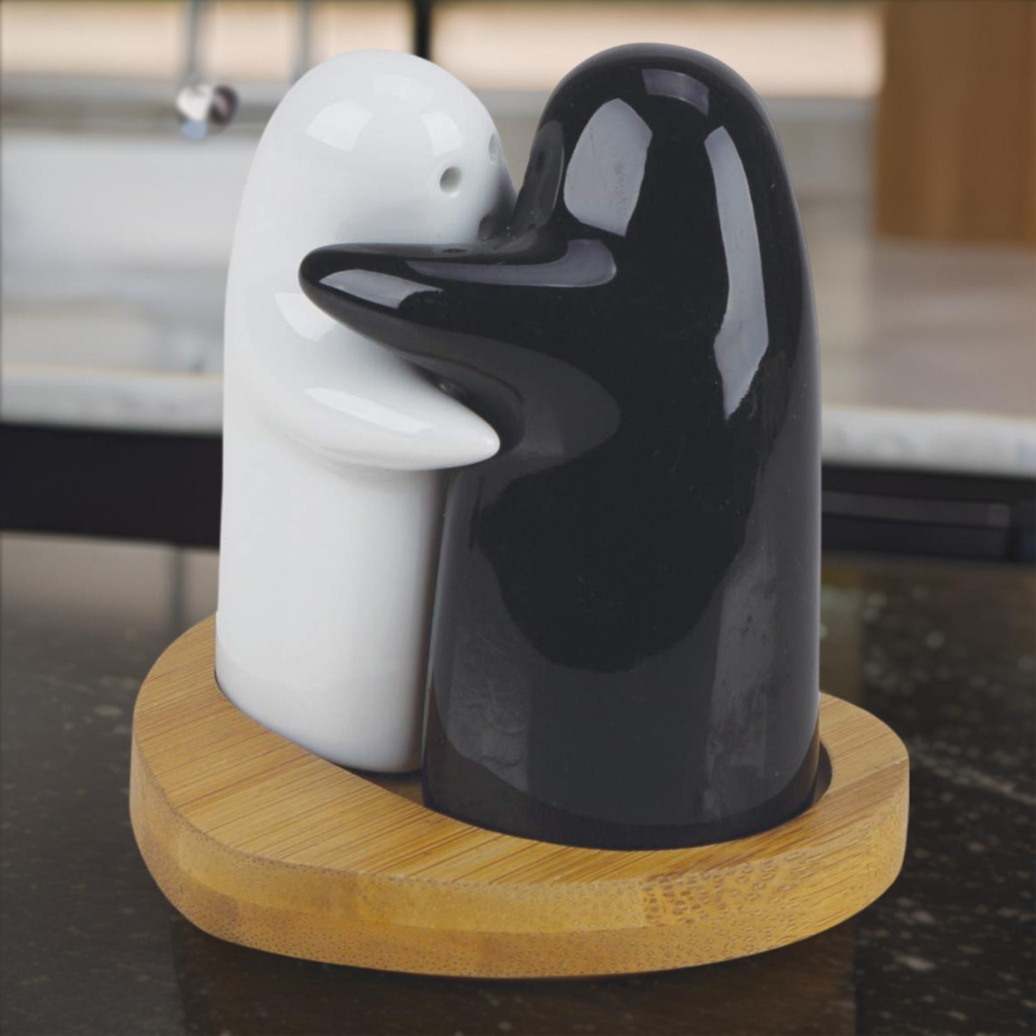 Ceramic Salt and Pepper Shakers – Modern Couple Design | Tidy Table