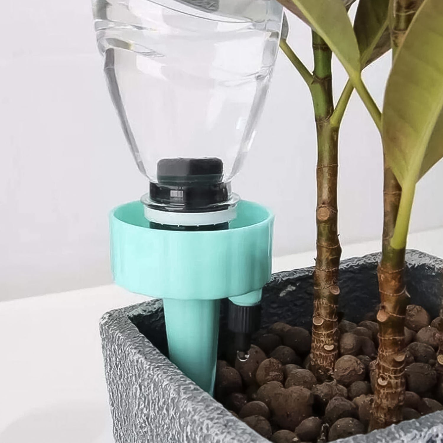 Auto Plant Watering Device – Self-Watering Spikes | Grow Garden Tools