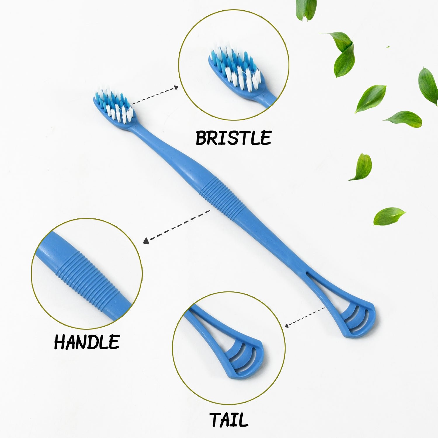 2-in-1 Toothbrush Tongue Scraper – Soft Bristles & 8 Pcs | BrushedUp