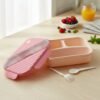 Plastic 3 Compartment Lunch Box for Kids, Organized & Portable