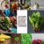 Vegetable Seeds Combo – 15 Varieties for Home Gardening
